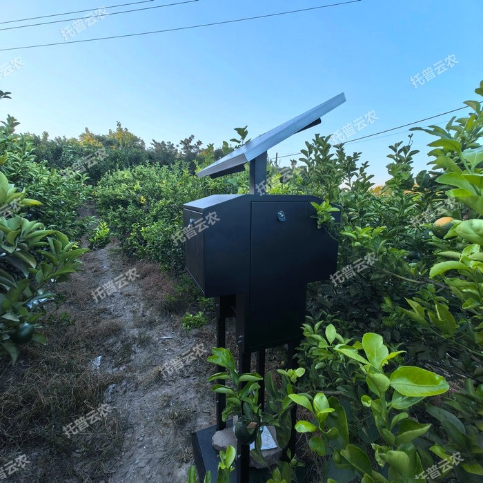 1757558827143318.jpg 智能蚜蟲測(cè)報(bào)系統(tǒng)(場(chǎng)景圖).jpg