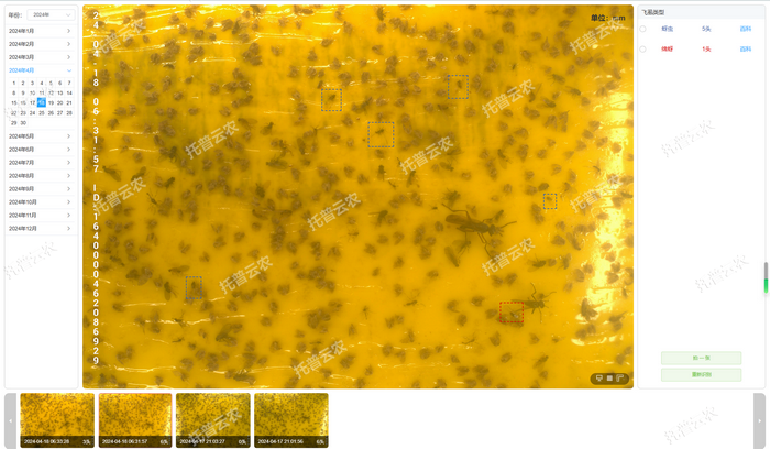 1757558874590136.png 智能識(shí)別 自動(dòng)計(jì)數(shù).png