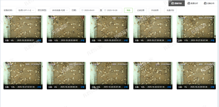 1762237410263335.png 蟲情列表.png